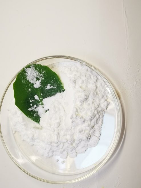Sodium Monofluorophosphate with CAS 10163-15-2