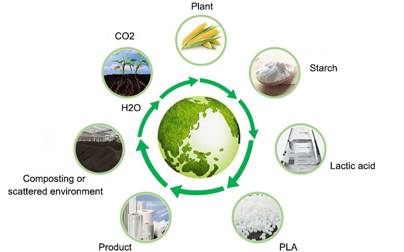 Do You Know About Biodegradable Materials PLA 