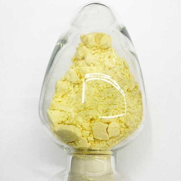 PLATYCODIND with CAS 58479-68-8 powder