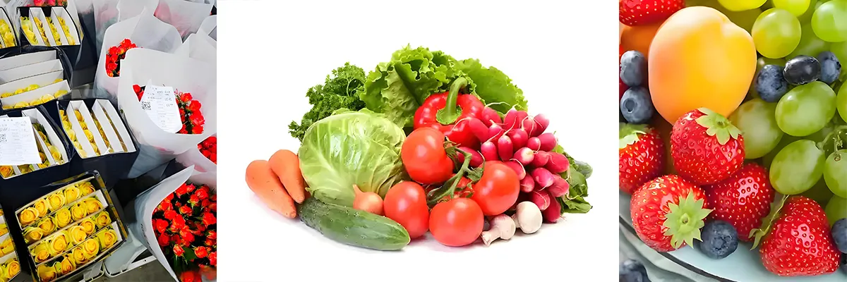 1-Methylcyclopropene_Uses