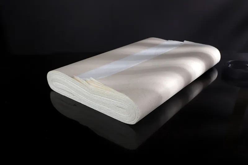 CHPTAC_in_papermaking