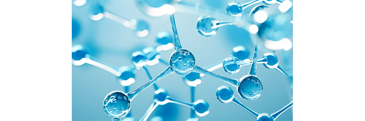 Hyaluronic_Acid_Sodium_Salt_Molecular