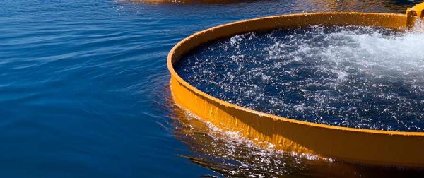 didecyl-dimethyl-ammonium-chloride-application​