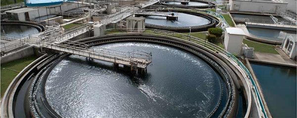 Methacryloyloxyethyltrimethylammonium