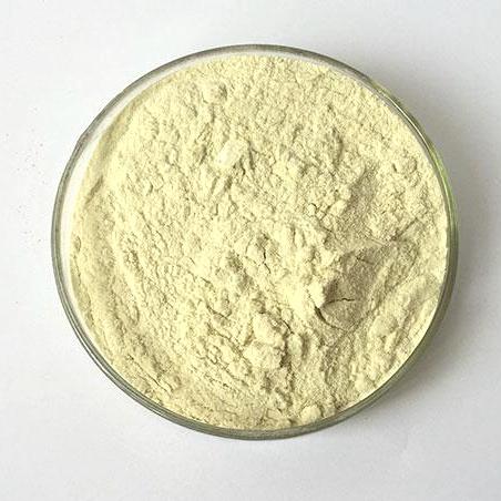 Xanthohumol CAS 6754-58-1